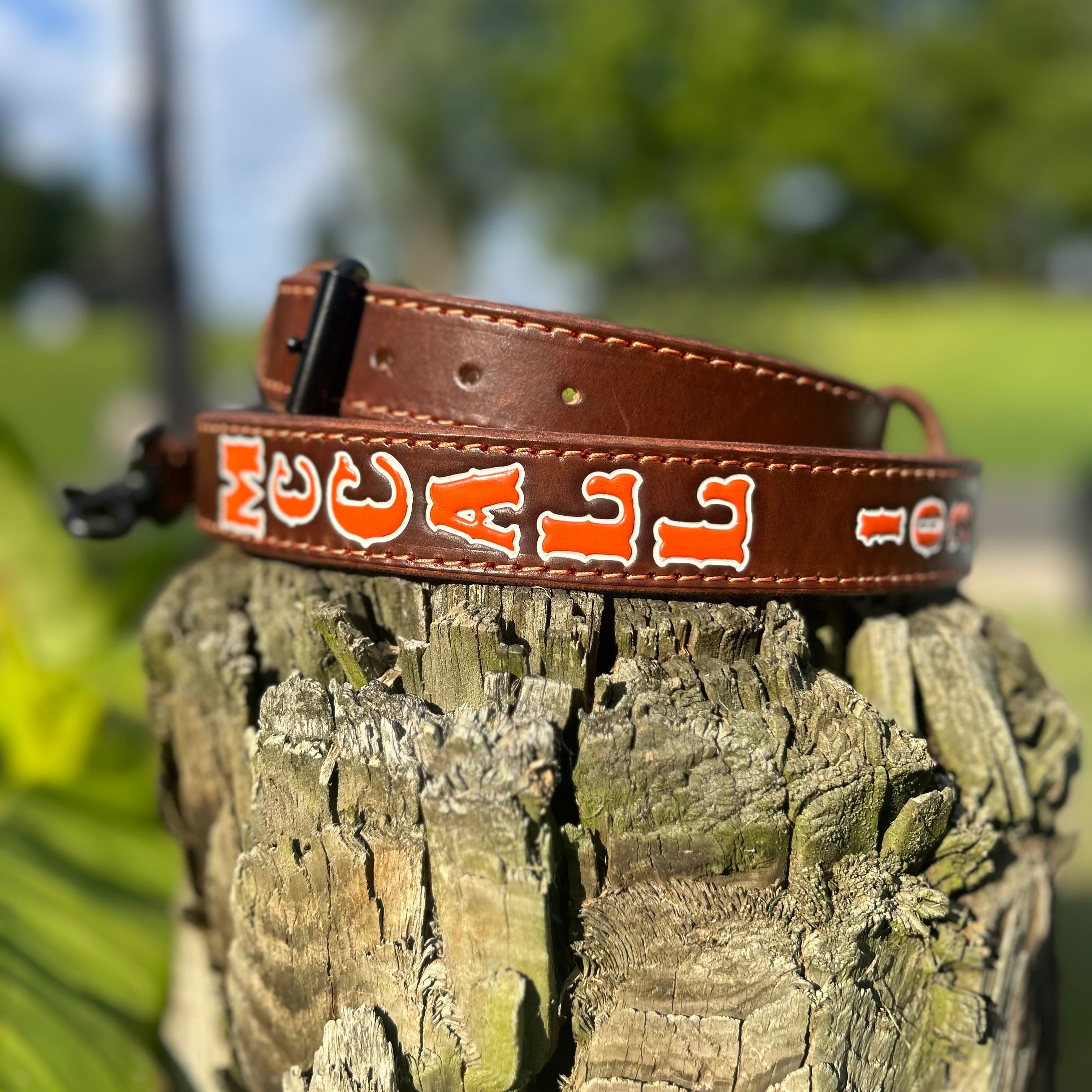 Radio Strap
